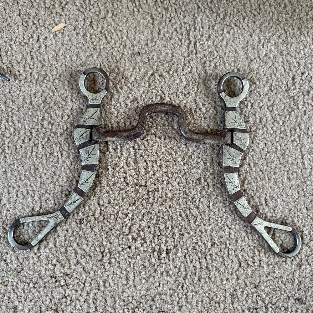 Teskey's Western Show Bit 5" medium Port